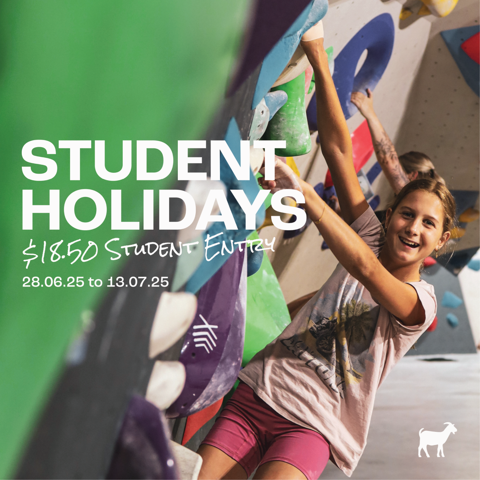 School Holidays at Alpine Indoor Climbing